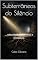 Livro Subterrâneos do Silêncio: Poemas (Poemas para o Cuidado Interior)
