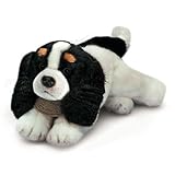 Russ Yomiko King Charles Spaniel, 17