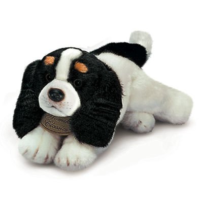 Russ Yomiko King Charles Spaniel, 17