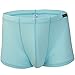 FEESHOW Men's Silky Boxer Briefs Shorts Bugle Pouch Underwear (Blue, X-Large)