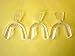 D.I.Y(Do It Yourself) Moldable Thermofitting Teeth Whitening Trays