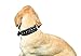 Downtown Pet Supply - Premium Leather Dog Collar - Spiked Dog Collar with Metal Buckle - 2in Thick Dog Collar - Black - M - Medium Dog Collar