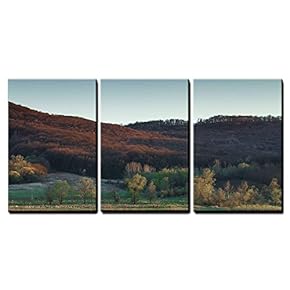 3 Piece Canvas Wall Art - Early Spring Beautiful Landscape with Lake and Forest. - Modern Home Art Stretched and Framed Ready to Hang - 16"x24"x3 Panels
