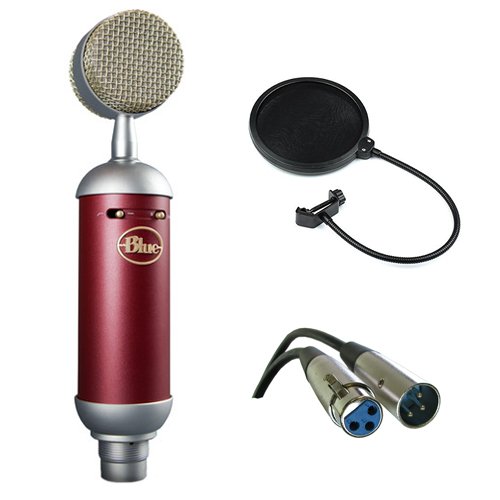 Blue Spark SL Large-Diaphragm Studio Condenser Microphone with XLR Cable and Pop Filter