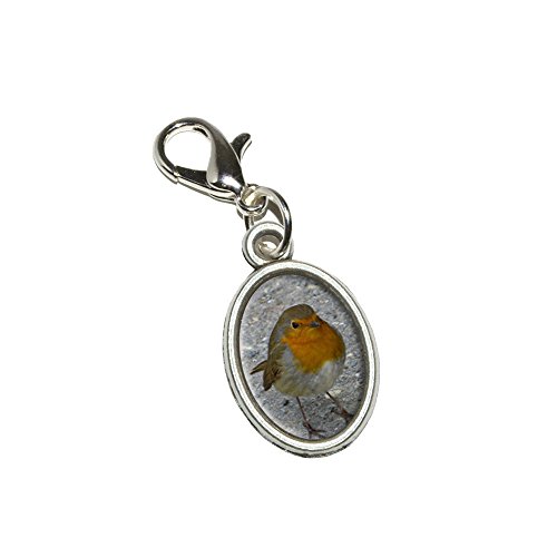 Graphics and More Robin Bird Antiqued Bracelet Pendant Zipper Pull Oval Charm with Lobster Clasp