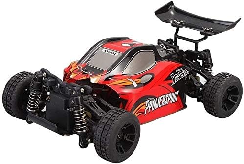 rc car in the world
