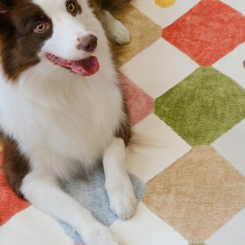 jinchan Kids Area Rug 4x6 Washable Indoor Checkered Floor Cover Non Slip Modern Soft Rug Living Room Carpet Decor for Nursery Dining Room Bedroom Circus on Cream