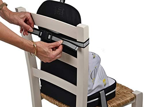 polar gear baby booster seat