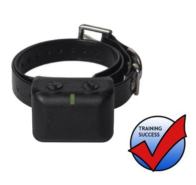 esky shock collar