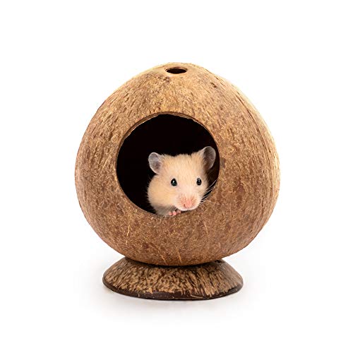 andwe Coconut Hut Hamster House