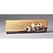 Belgian Chocolate Seashells, 2.3 oz. (6 Piece Box)