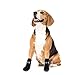 Anti Slip Dog Socks for Hardwood Floors, Pet Paw Protectors with Grips XL