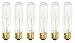 Pack Of 6 25 Watt T10 Clear Tubular Incandescent Medium (E26) Base 120-Volt Light Bulb