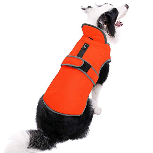 Top 10 Hunting Coats For Dogs of 2020 No Place Called Home