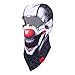 Balaclava Clown Mask - Original Hand Painted Motorcycling Cycling Full Face Head Hood