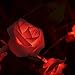 VIPMOON 20 LED Rose Flower String Lights, 2M/6.6ft Battery Operated Romantic Roses String Lights for Wedding, Room, Balcony, Stairs, Festival Party Decor