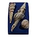 First Impressions Molds Silicone Mold, Shell Set 14