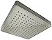 Vida Alegría RAIN Shower Head; 8-Inch Soft Rain; 2.5 gpm (Nickel, Brushed)