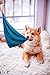 Leather Puppy Bite Rag & Small Dog Bite Rag Tug Toys with Handle for Puppies Young Schutzhund Police Dog K9 Training and Bite Inhibition, Perfect for Young Dog Grip Development, Best for Tug of War