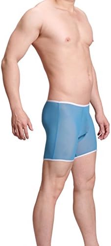 GuPoBoU168 Mens Sheer See-through Mesh Shorts Boxers Underwear