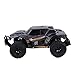 FLYZOE Remote Control Car 1: 16 Scale Buggy Vehicle