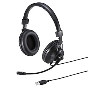 サンワサプライ USBヘッドセット/ヘッドホン ブラック MM-HSU01BK