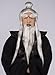 Sensei Wig and Beard Set