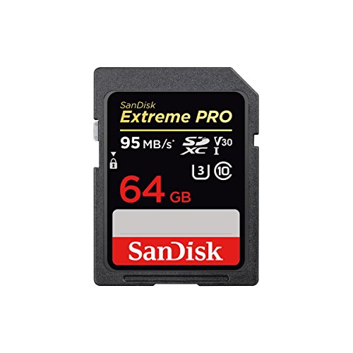 Panasonic-Lumix-DMC-FZ1000-Digital-Camera-Bundle-with-64GB-SDXC-Card-Case-Spare-Battery-Tripod-Flashpoint-Zoom-Mini-TTL-R2-Flash-Remote-Shutter-Release-62mm-Filter-Kit-Software-Pack-and-More
