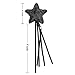 Bilipala Black Star Magic Wands Fairy Princess Wand Masquerade Wand for Kids Birthday Baby Shower Party Supplies, 2 Counting