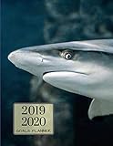 2019 2020 Sea Sharks 15 Months Daily Planner: Academic Hourly Organizer In 15 Minute Interval; Appointment Calendar With Address Book & Note Section; Monthly & Weekly Goals Journal With Quotes by ZenWerkz