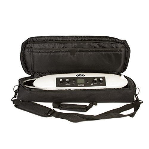 Moog Etherwave Theremin Gig Bag