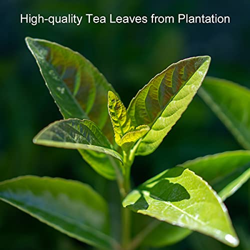 Yan Hou Tang Organic Chinese Black Tea Bags - 100 Counts Loose Leaf Honey Coffee Flavor Taste Sugar Free Himalaya High Mountain Sachet for relaxation