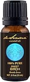 Birch Oil, Sweet, 100% Pure Essential Oil - For Professional Aromatherapists (For Home Use, See Warnings) 15 ml