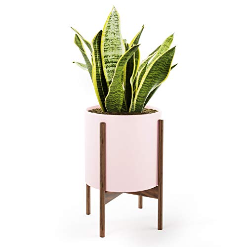 Mid Century Plant Stand with Pot with Drainage – Matte Blush Ceramic Planter with Wood Plant Stand Made of Walnut – 10 inch Planter – Perfect Pot for Plants Indoor – Planter with Stand NOT Adjustable