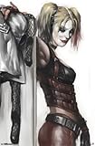 Harley Quinn Poster 22 x 34in