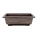 Rectangle Mica Bonsai Training Pot - Superior to Plastic - Won't Break from Freezing or Dropping Like Clay, Earthenware or Ceramic (Exterior Dimensions: 12 1/2 x 9 x 4)