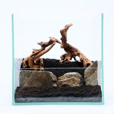 Amazon Co Jp コケのインテリア コケリウム 栽培キット テラリウム キット 苔盆栽 セット アクアテラリウムキット ホーム キッチン