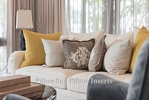27 inch pillow insert