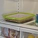 Anchor Hocking 3-Quart Glass Baking Dish with Green TrueFit Lid