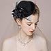 Pixnor Women's Ladies Flower Decor Hair Clip Feather Fascinator Burlesque Punk Mini Top Hat - One Size (Black)