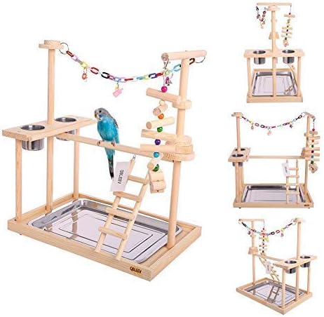 QBLEEV Parrot Playstand Bird Play Stand 