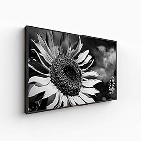 Canvas Wall Art for Living Room, Bedroom Monochrome Plants Framed Canvas Prints for Home Decoration Ready to Hang - 16x24 inches