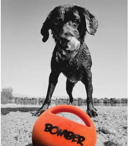 zeus bomber dog toy
