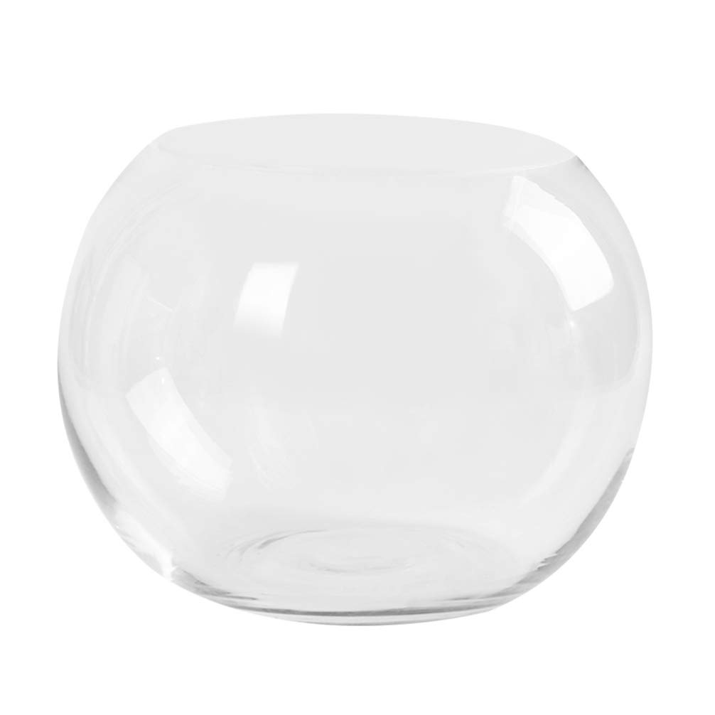 HEMOTON Transparent Glass Flower Vase 5.91In Hydroponics Plant Holder Creative Desktop Fish Bowl Ornament for Home Office Hotel Decoration