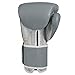 Title Boxing TITLE Limited Pro Style Leather Training Gloves, Grey/Silver, 16 oz
