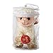 My Baby's Heartbeat Bear Recordable Stuffed Animals 20 sec Heart Voice Recorder for Ultrasounds and Sweet Messages Playback, Perfect Gender Reveal for Moms to Be, Lil Lamb