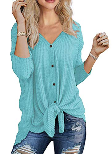 Chvity 2019 Fall Tops for Women v Neck Loose fit Long Sleeve Casual Knitted Shirts Blouses Tunics Tops (L, 10 Sky Blue)