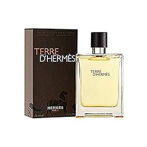 Terre D'Hermes by Hermes Eau De Toilette For Men, 100 ml