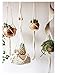 Flber Macrame Plant Hanger Handmade Cotton Rope Wall Hangings Home Décorr Macrame Plant Hanger Handmade Cotton Rope Wall Hangings Home Décor