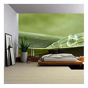 Green Plant Leaf with Drops - Removable Wall Mural | Self-Adhesive Large Wallpaper - 66x96 inches